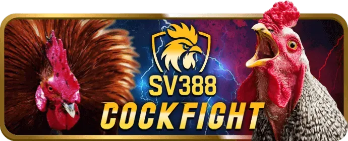 Tài liệu pháp lý và hợp đồng tt888 casino